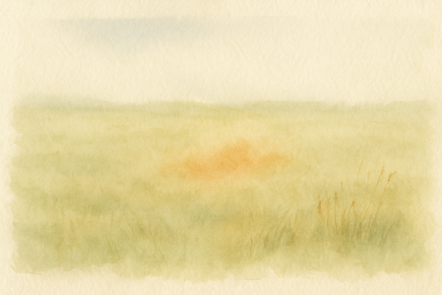 The Field and Its Center