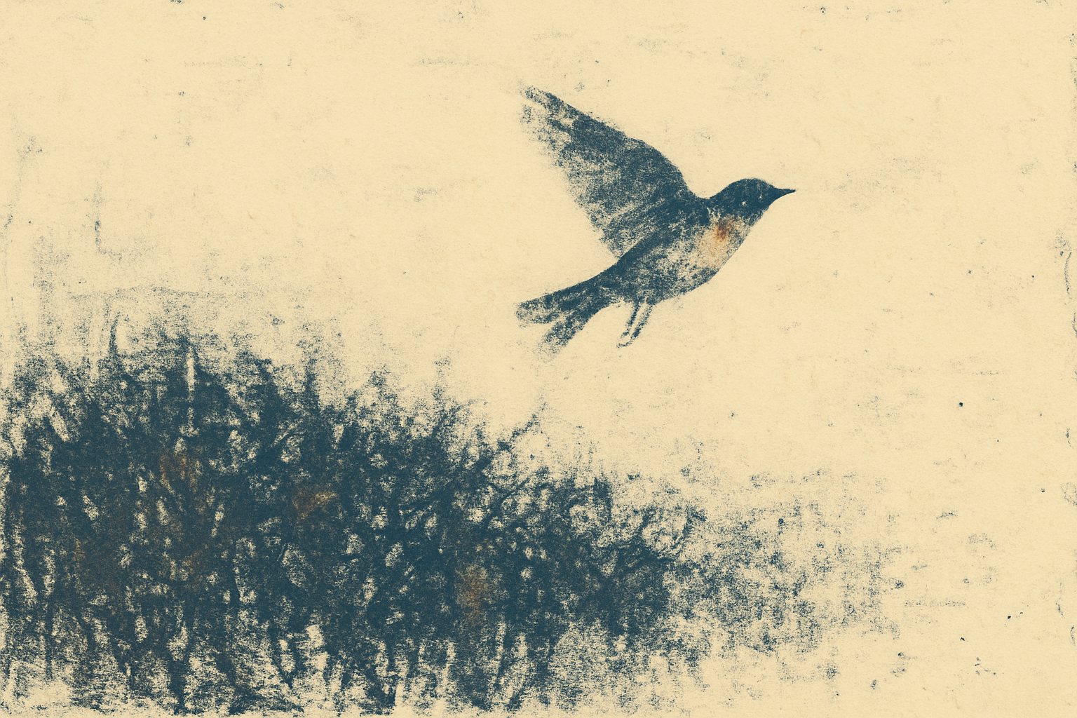 The High Indifference